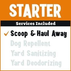 Just The Basics 💩