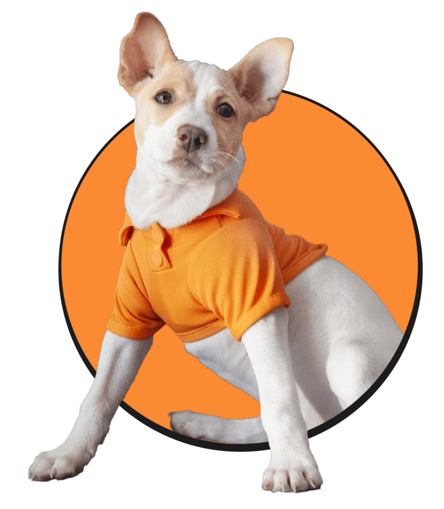 Pet Waste Removal Company in Orlando FL