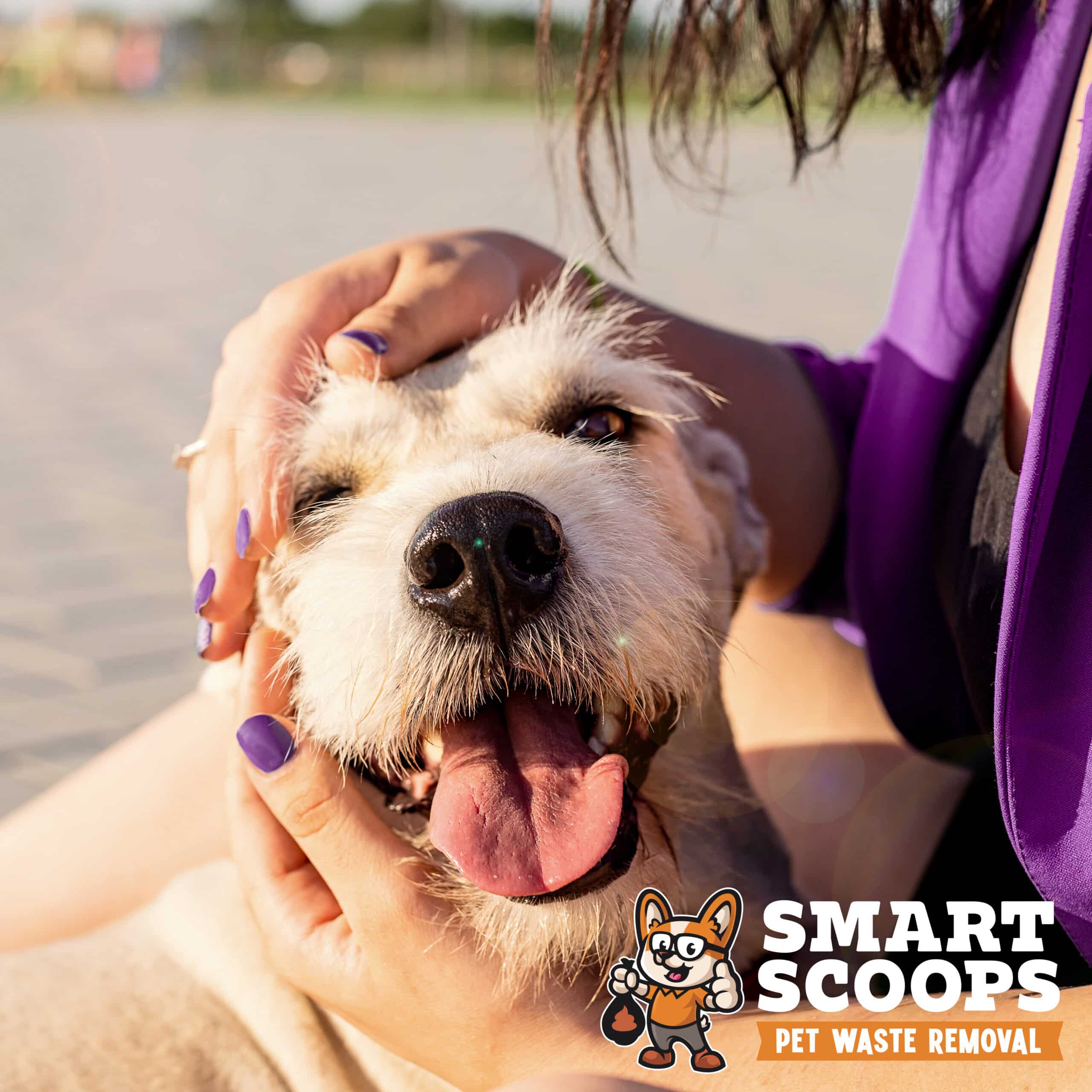 young attractive woman hugging her dog in the park