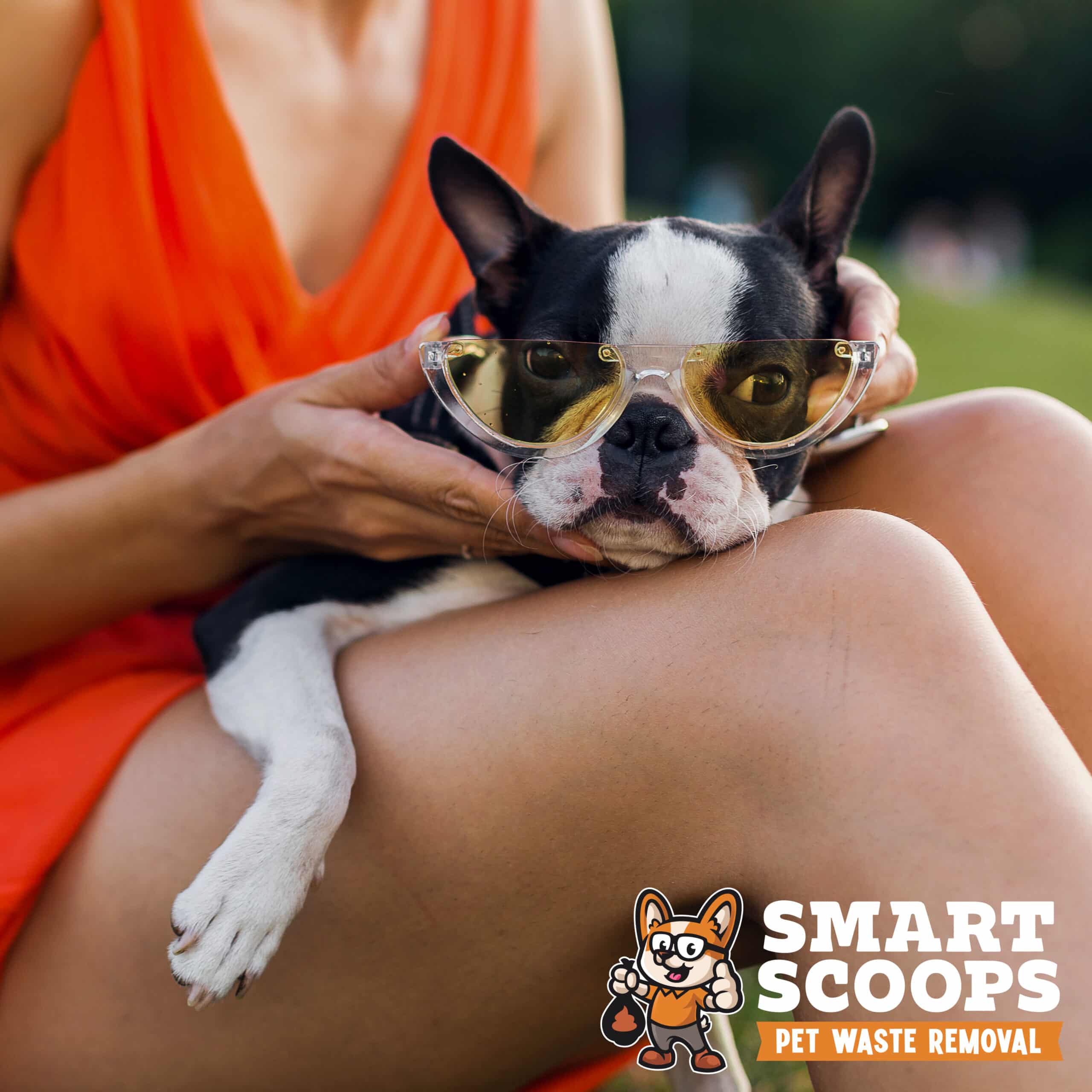 young happy smiling woman in orange dress having fun playing with dog in park